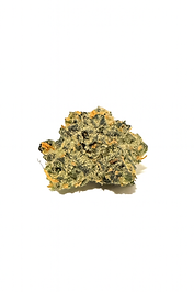 Tropicana Cookies Indoor Smalls 31% THC (Sativa)