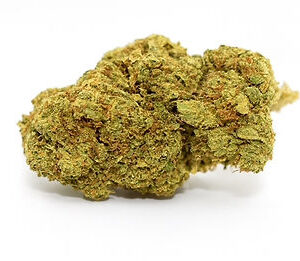 Guava 28% THC (Sativa)