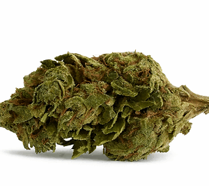 White Widow 18% THC (Hybrid)