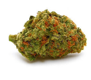 Hindu Kush 27% THC (Indica)