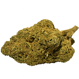 Hash Plant 28% THC (Indica)
