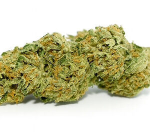 Sour Tangie 31% THC (Sativa)